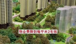 爆料房地产视频大全集最新,最新爆料视频大全集深度解析